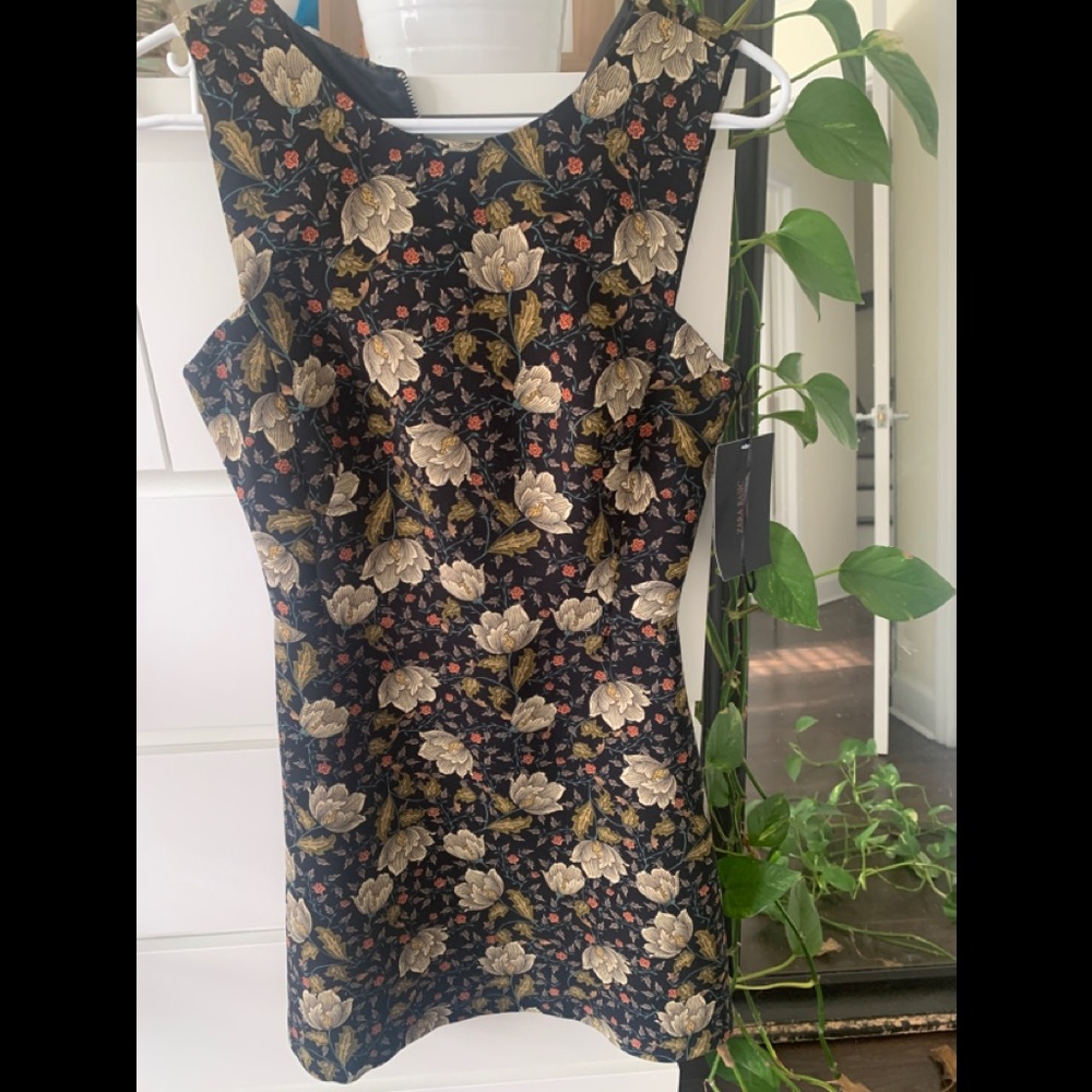 Zara NWT floral dress